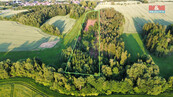 Prodej lesa, 17153 m2, Božejov, cena 380000 CZK / objekt, nabízí
