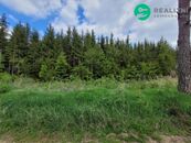 Les po těžbě kůrovce.72939 m2, Heřmaneč u Počátek, cena 1990000 CZK / objekt, nabízí 