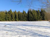 Prodej, pozemek 1.000 m, Křižánky, cena 490000 CZK / objekt, nabízí 